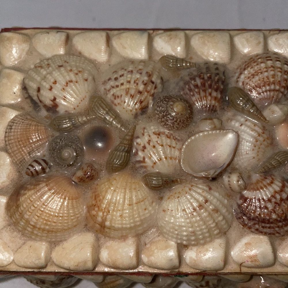 Shell Covered Small Box - Picture 3 of 9